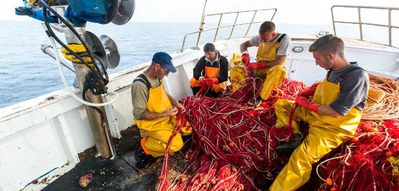 Countries take concrete steps toward achieving sustainable fisheries in the Mediterranean and the Black Sea Fisheries ©GFCM-Pier Paolo Cito