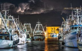 EC ADOPTS €518 MILLION FISHERIES PROGRAMME