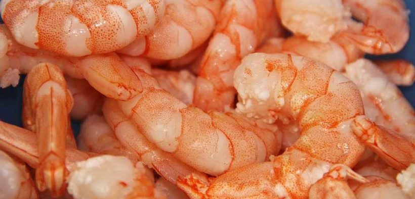 FAIR TRADE SHRIMP ANNOUNCEMENT 2