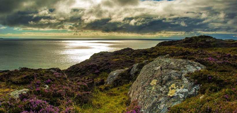 GREEN FUND DISTRIBUTES £3M