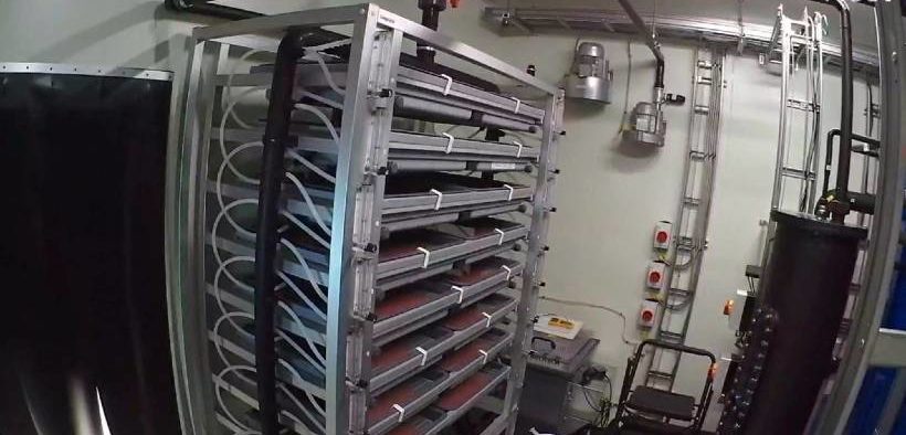 Proximar Seafood starts salmon production
