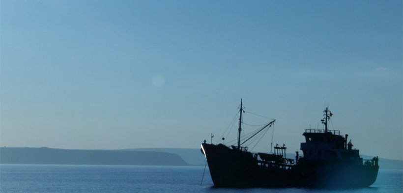 LACK OF TRANSPARENCY MAJOR RISK FOR SEAFOOD INVESTORS