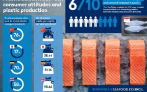 Norwegian Seafood Council highlights shift towards plastic-free seafood