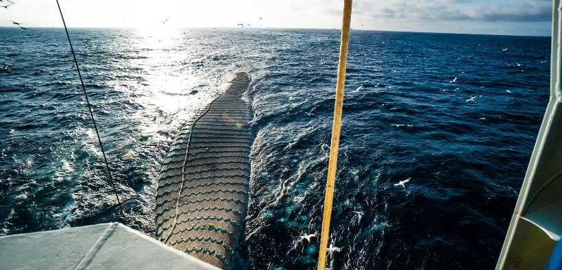 ARE PELAGIC FISHERIES ENTERING NEW WATERS