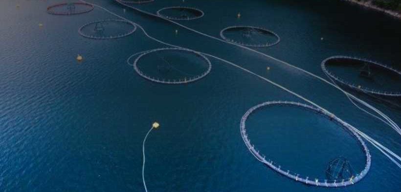 DEMAND REACHES AN INFLECTION POINT