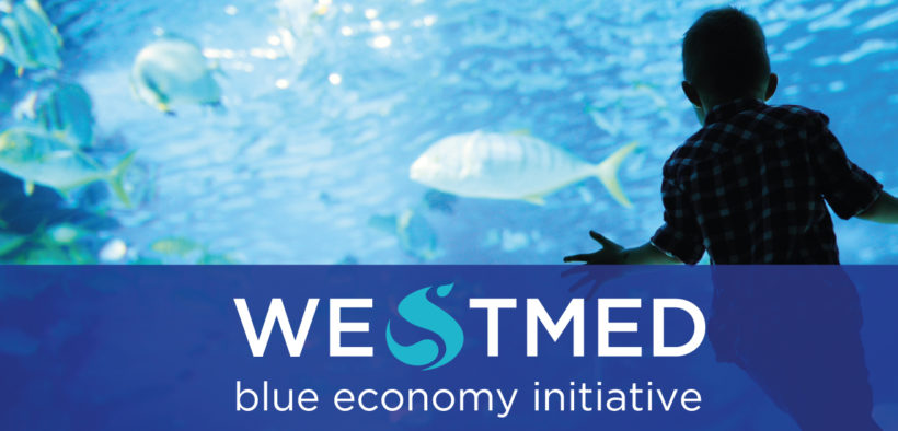 EC ADOPTS WESTERN MEDITERRANEAN REPORT