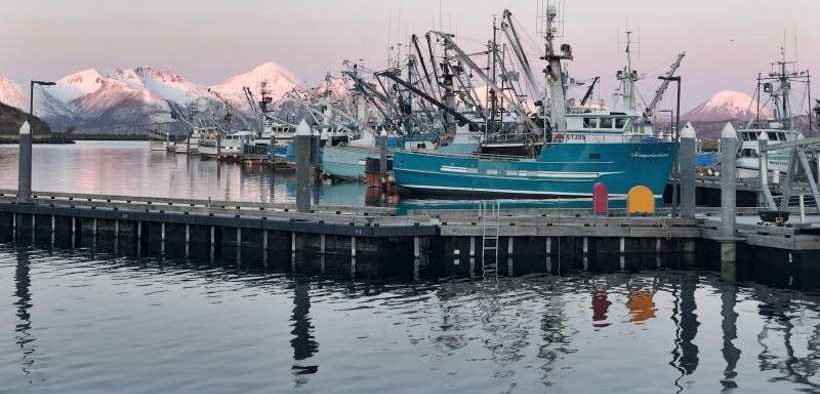 HOW ELECTRONIC MONITORING IS CHANGING THE GULF OF ALASKA POLLOCK FISHERY