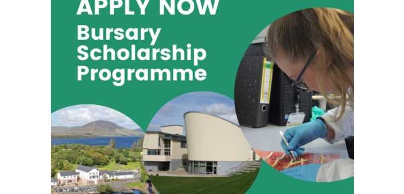 MARINE INSTITUTE’S SUMMER BURSARY SCHOLARSHIP