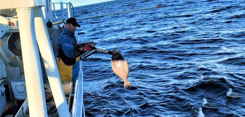 TWO KEY NORWEGIAN FISHERIES MSC CERTIFIED