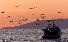 NEW PROVISIONS FOR ACCESS TO JERSEY FISHING WATERS