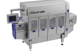NEW SALMON FILLETING MACHINE FROM MAREL