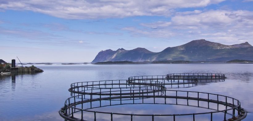 SCOTTISH AQUACULTURE NOW ECONOMICALLY