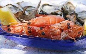2023 Seafood Excellence Awards Finalists Announced