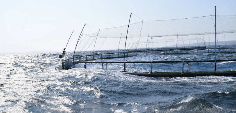ASC ROLLS OUT NEW VARIANCE REQUEST PROCEDURE