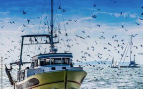 EC adopts revised state aid guidelines for fishery and aquaculture sectors