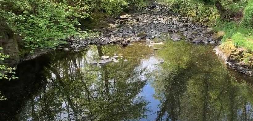 ENVIRONMENTAL REGULATORS IN NORTHERN IRELAND