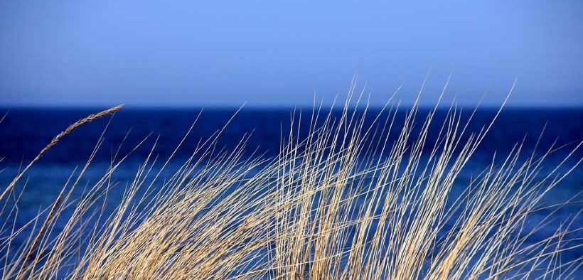 EU ANNOUNCES 39 OCEAN COMMITMENTS