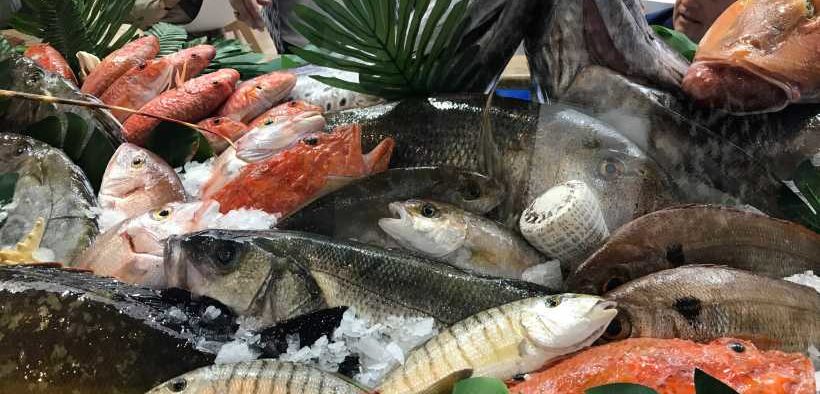 GLOBAL SEAFOOD ALLIANCE AT SEAFOOD EXPO GLOBAL