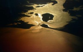 Advice not to market shellfish from Poole Harbour