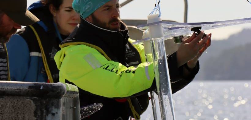 Cod larvae attracted by the noise from wind turbines
