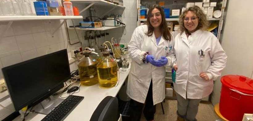 Tackling mercury pollution in marine sediments