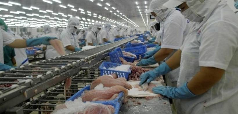 Vietnam Pangasius exports will increase due to China’s economic recovery
