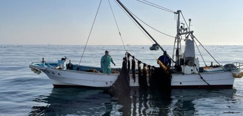 ASC Group Certification for Small Farms