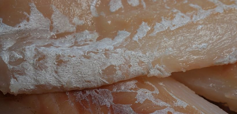 Blue Star Foods ramps shipments to pet food company