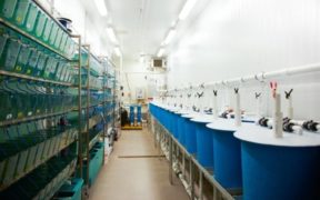 CATC Receives both GLP and GMP Recognition