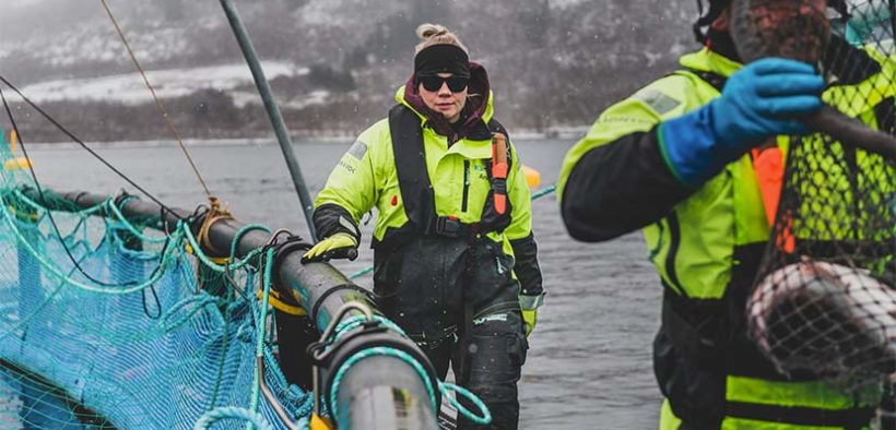 Kvarøy Arctic global scholarship programme for women