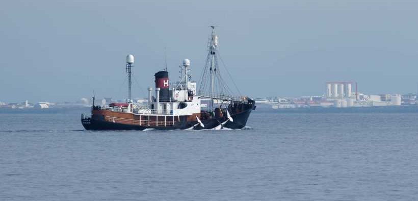 RESPONSE TO MAST REPORT ON MONITORING OF WHALING