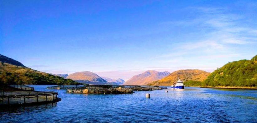 Community consultation launched by Mowi for post-smolt programme