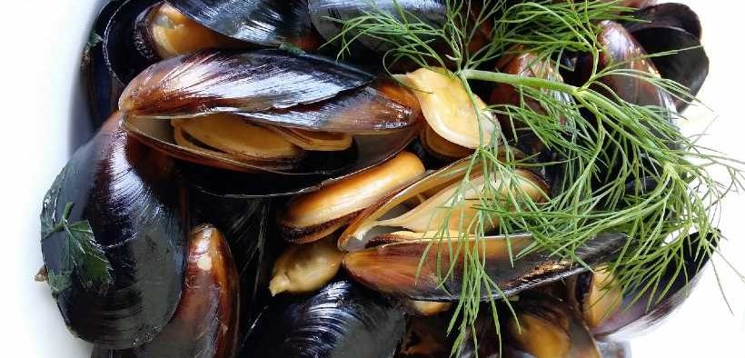 FOOD AND DRINK FEDERATION(1)