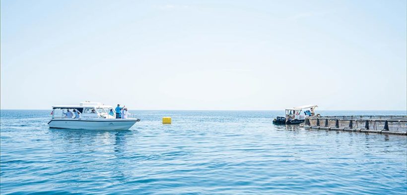 Fisheries Development Oman showcases a thriving fishing industry