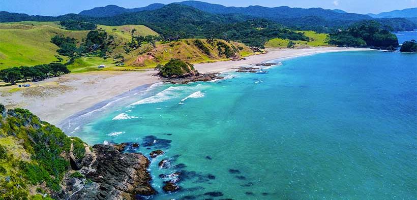 NZ fishing companies enter long term arrangement