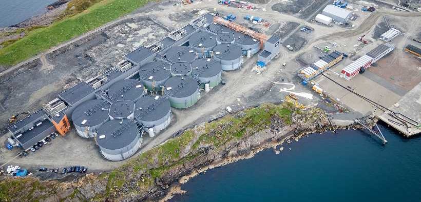 SALMON EVOLUTION PROGRESSES DEVELOPMENT PLANS