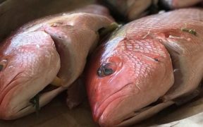 $20M DEAL FOR NEW ZEALAND SEAFOOD