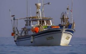 CALL FOR FAIR AND BALANCED FISHERY MEASURES