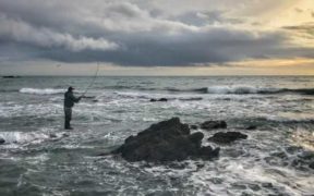 DATA REVEALS IRISH SEA ANGLERS’ MOST COMMONLY CAUGHT FISH