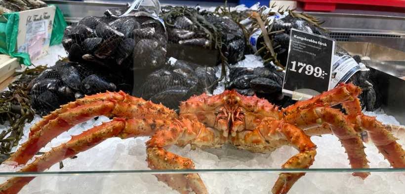 NORWAY EXPORTED NOK 82.3 BILLION OF SEAFOOD