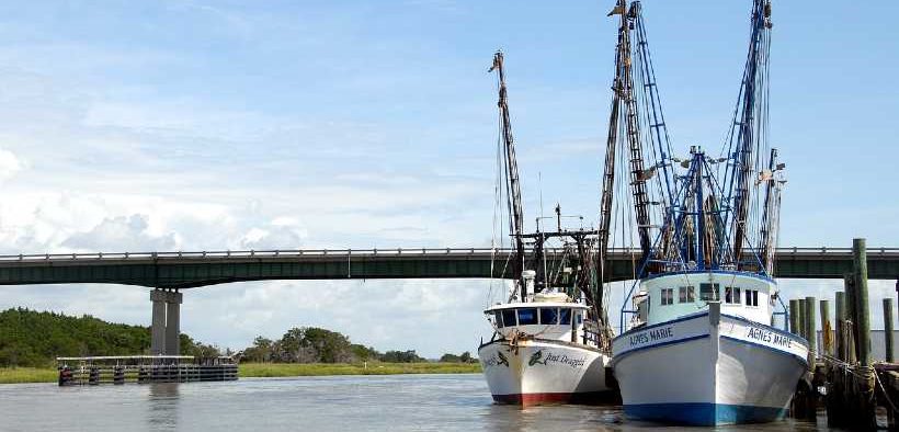 SHRIMP PERMIT LAUNCH IN EASTERN ENGLAND