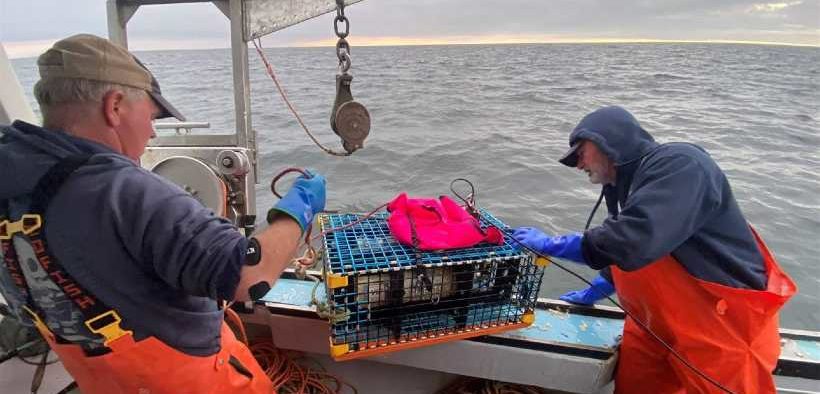 TO SAVE RIGHT WHALES FROM ENTANGLEMENT