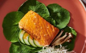 $1M JOINT GRANT TO DEVELOP FISH-FREE SALMON FILLETS