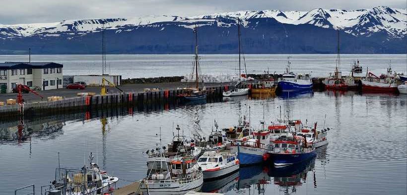 ICELANDIC FISH CATCH RISES IN JULY