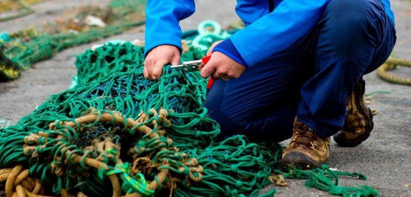 SFPA Publishes Online Guidance