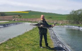 Sturgeon conservation and sustainable aquaculture in Romania