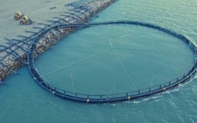WORLD’S FIRST RECYCLED FISH FARMING PEN