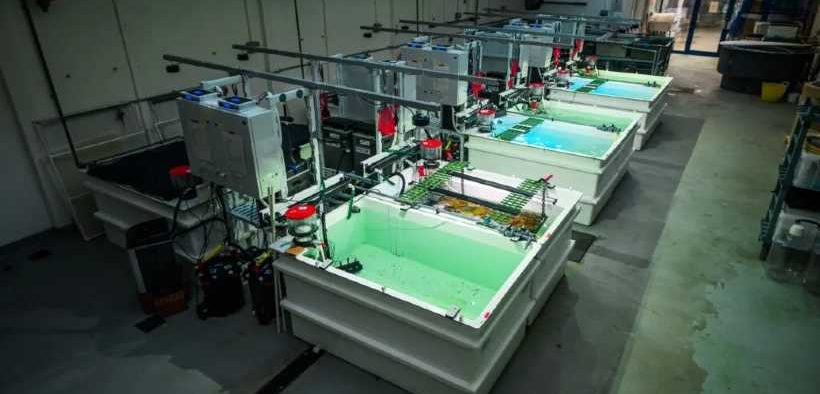 FIVE YEARS OF INNOVATION SUPPORTED BY MARINE BUSINESS
