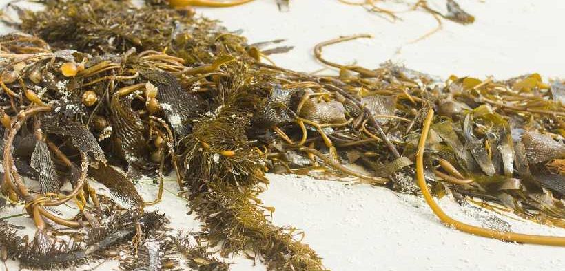 HEALTH AND THE ENVIRONMENT