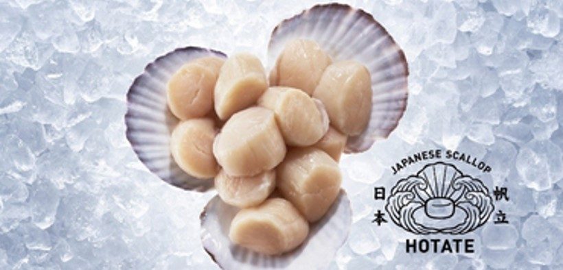 J-HOTATE Association to showcase fresh Japanese scallops to overseas markets
